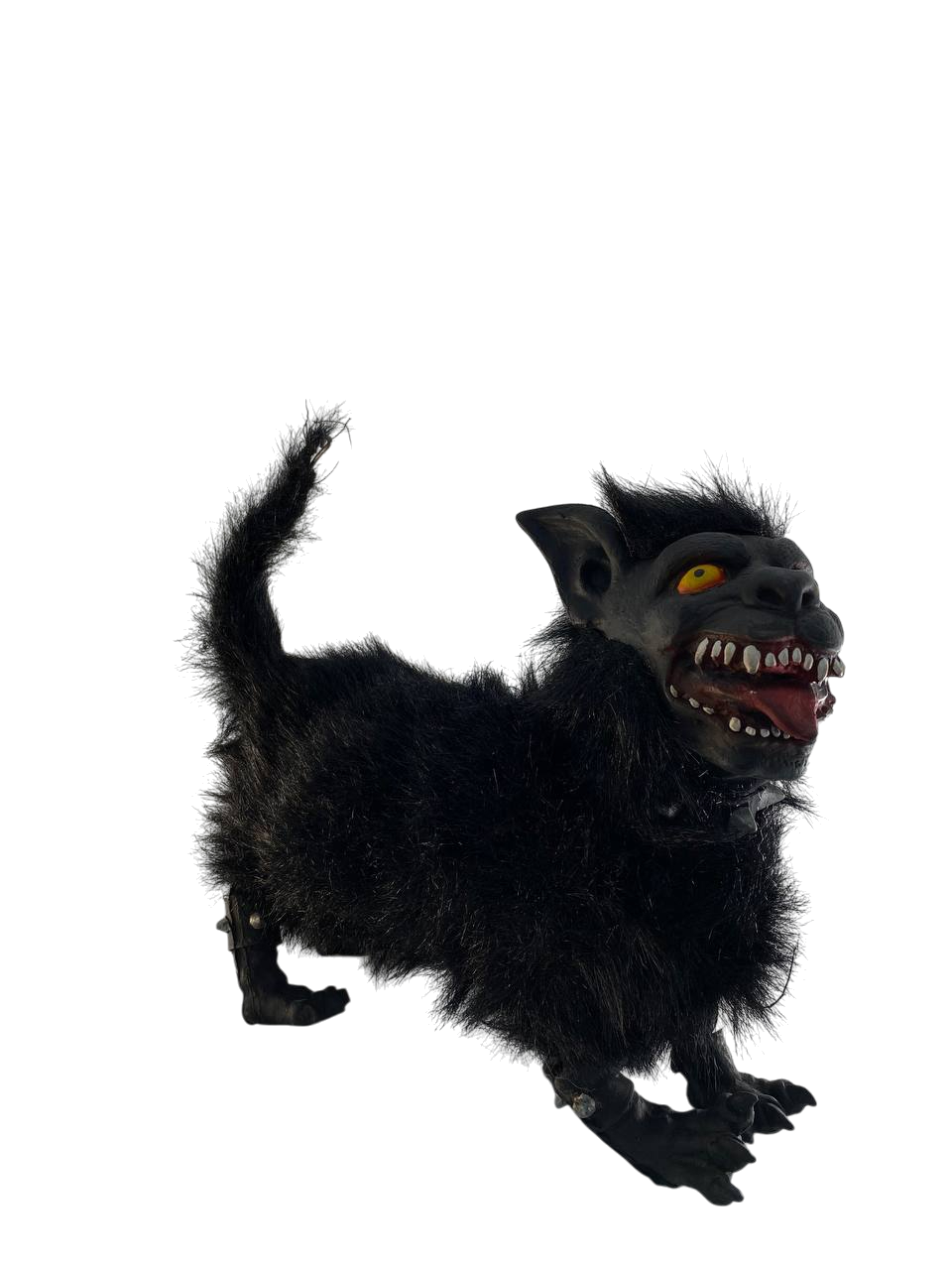 GATO HALLOWEEN NEGRO