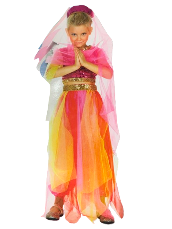 DISFRAZ BELLA GENIO NINA T 11-14