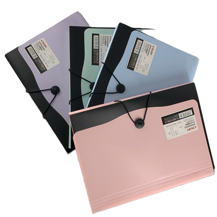 ARCHIVADOR ESPANDIBLE A6 13DIV GANCHO PASTEL DL