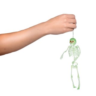 ESQUELETO COLGANTE GIGANTE