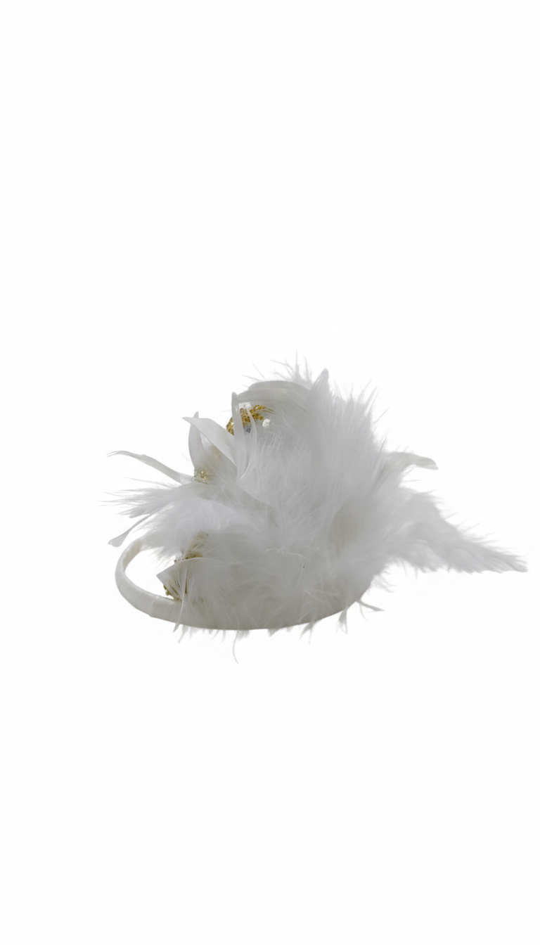 CINTILLO LENTEJUELA CON PLUMAS