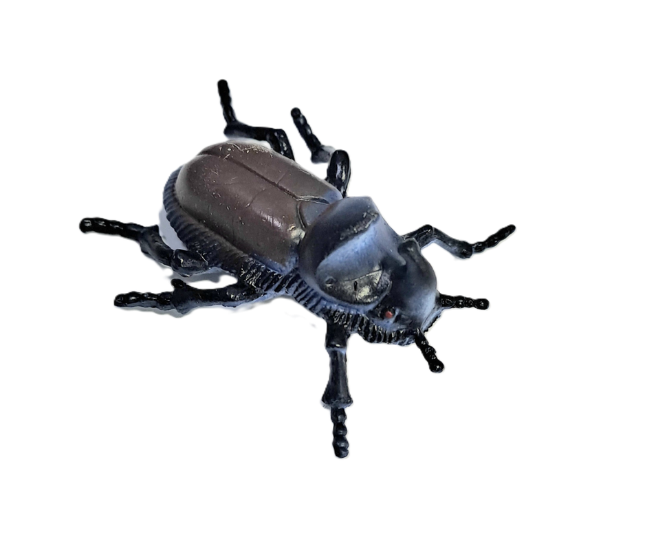 ESCARABAJOS SURTIDOS 12 UNID