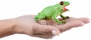 RANA VERDE MEDIANA 3 UNID