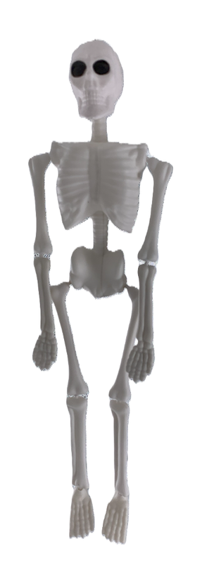 ESQUELETO  BLANCO PVC BLANCO