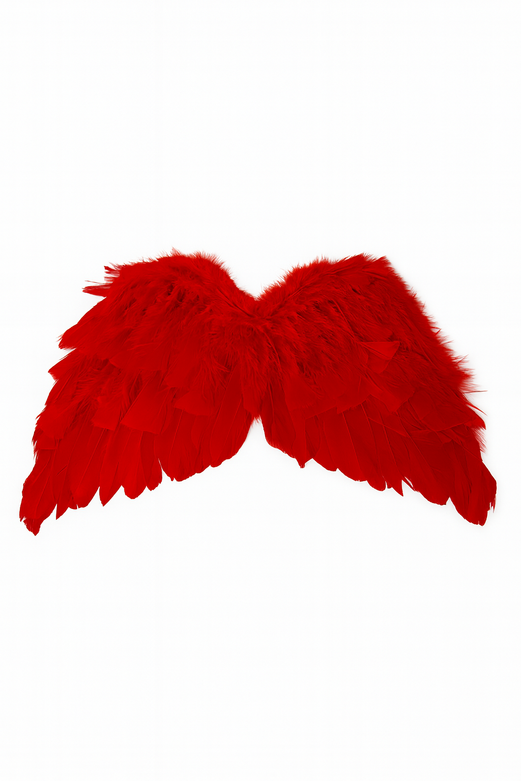 ALAS DE ANGEL CON PLUMAS