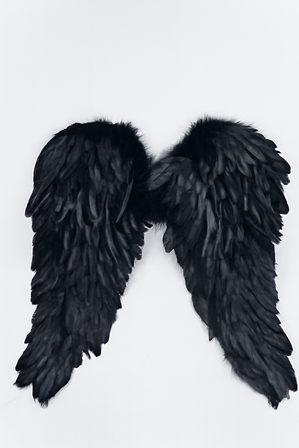 ALAS DE ANGEL PLUMAS 53*70 CM