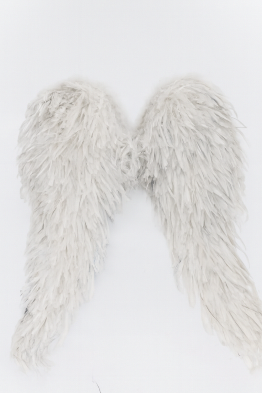 ALAS DE ANGEL PLUMAS 53*70 CM