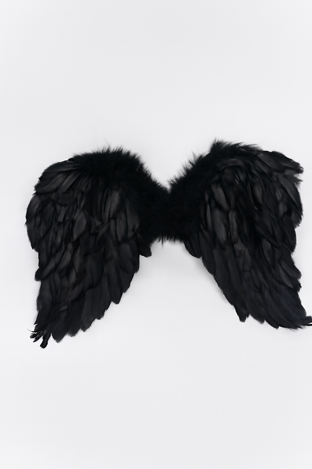 ALAS DE ANGEL PLUMAS 54*40 CM