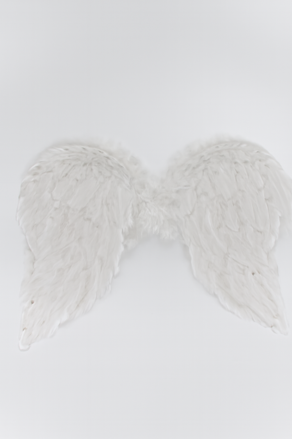 ALAS DE ANGEL PLUMAS 54*40 CM