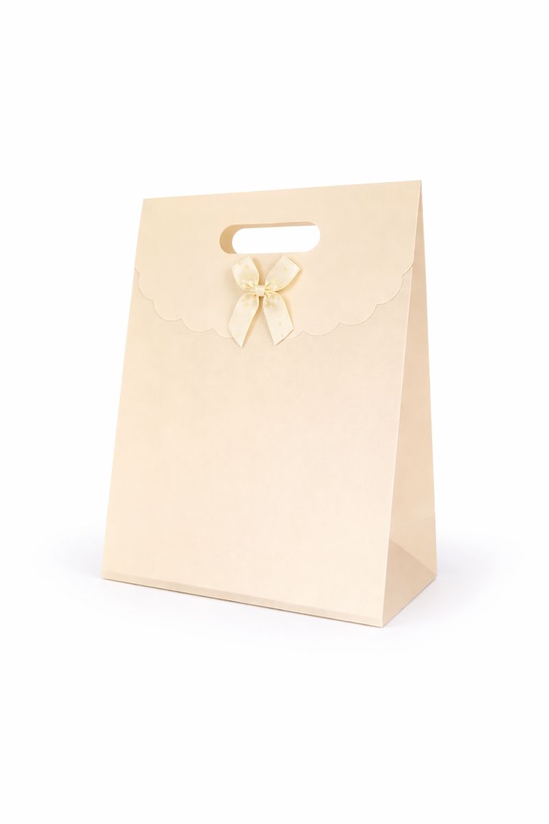 BOLSA DE REGALO UNICOLOR CON LAZO 26*19*8.5