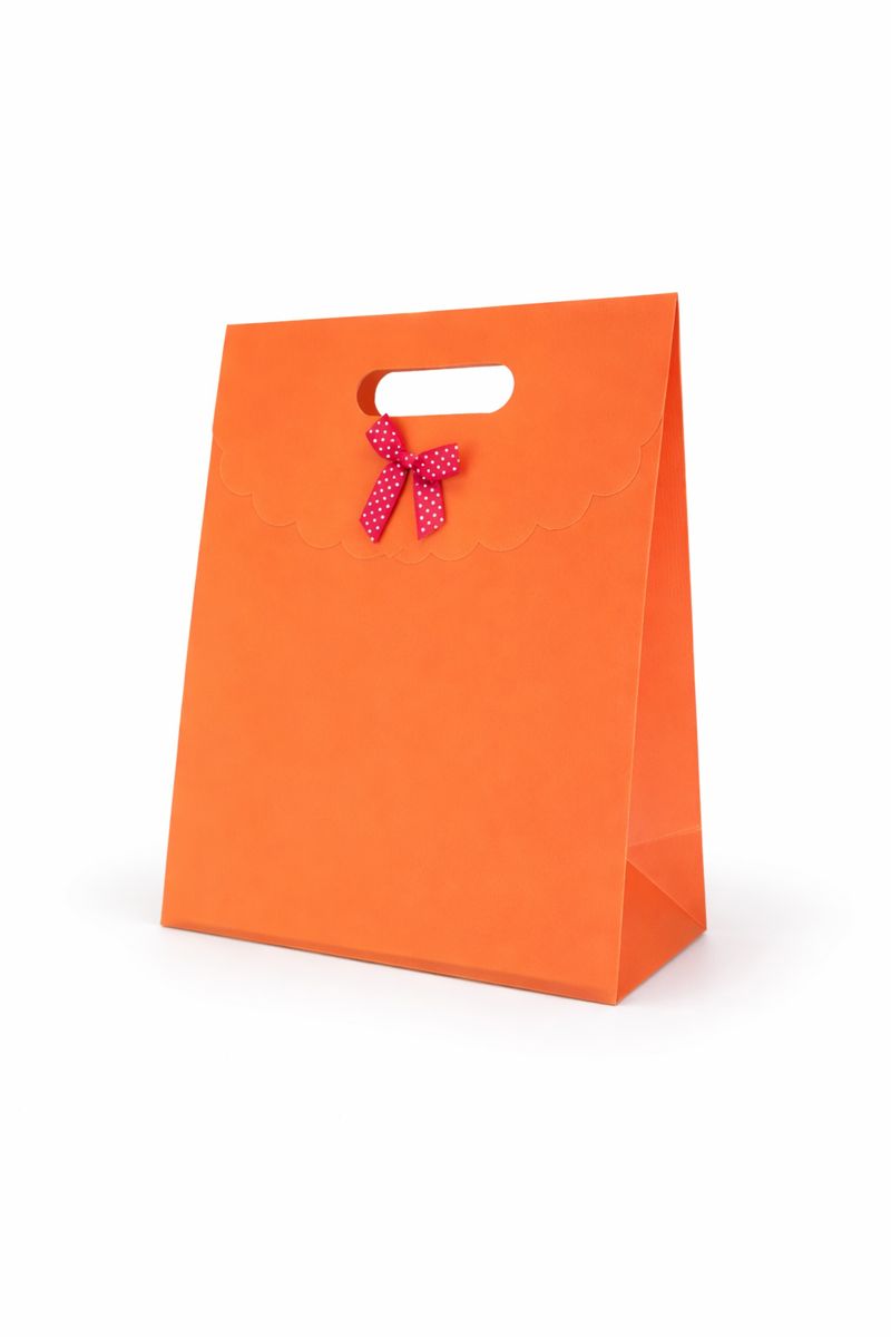 BOLSA DE REGALO UNICOLOR CON LAZO 31*24*12