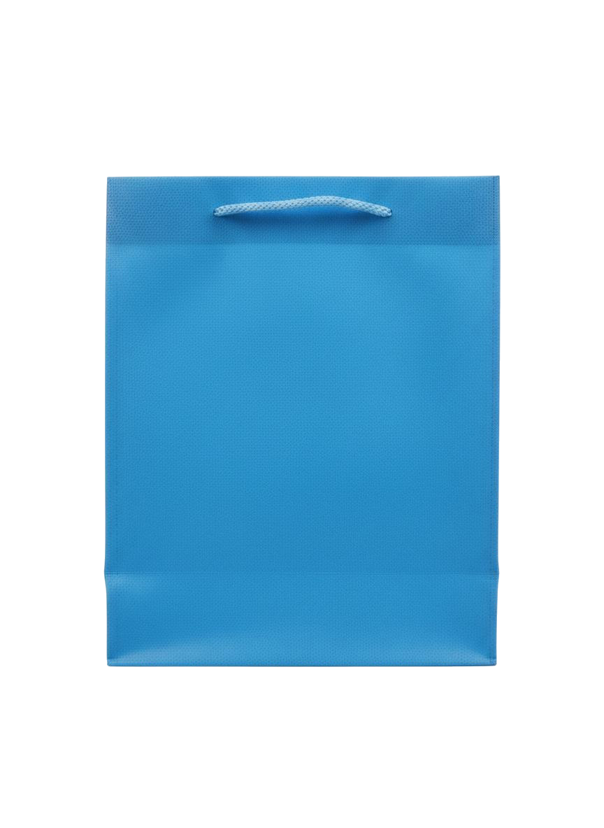 BOLSA DE REGALO UNICOLOR 22*18*