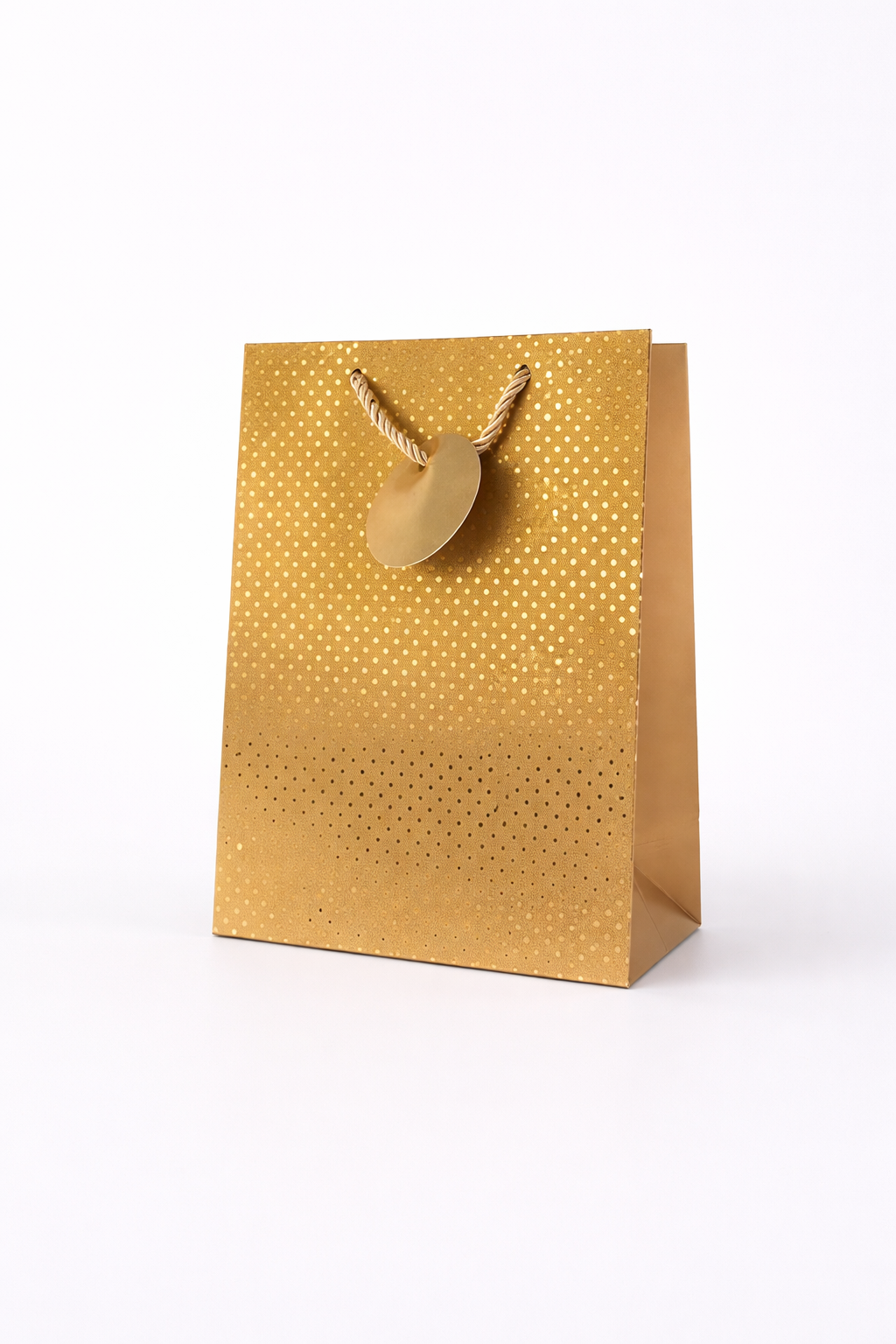 BOLSA DE REGALO PUNTOS ESA VARIOS 18*23*10