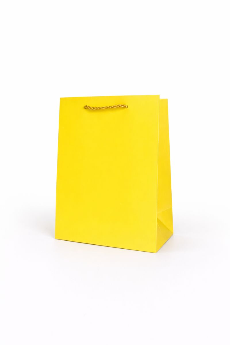 BOLSA DE REGALO UNICOLOR VERTICAL 18*23*10