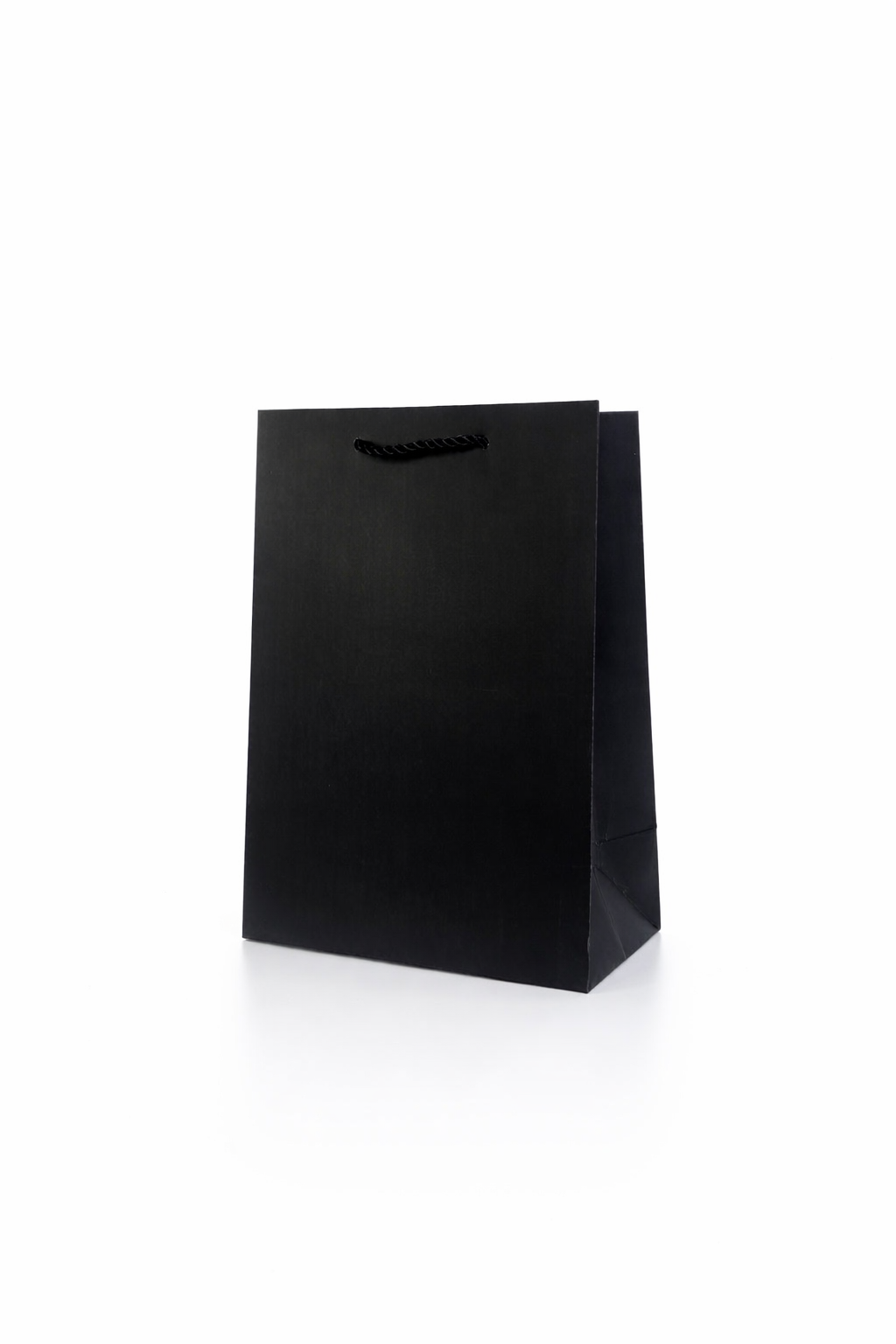 BOLSA DE REGALO UNICOLOR VERTICAL 18*23*10