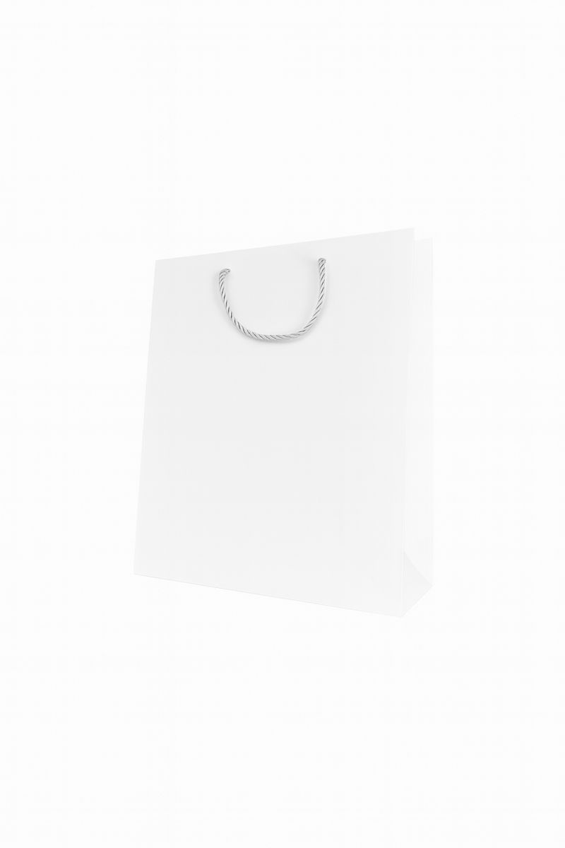 BOLSA DE REGALO UNICOLOR VERTICAL 26*32*10