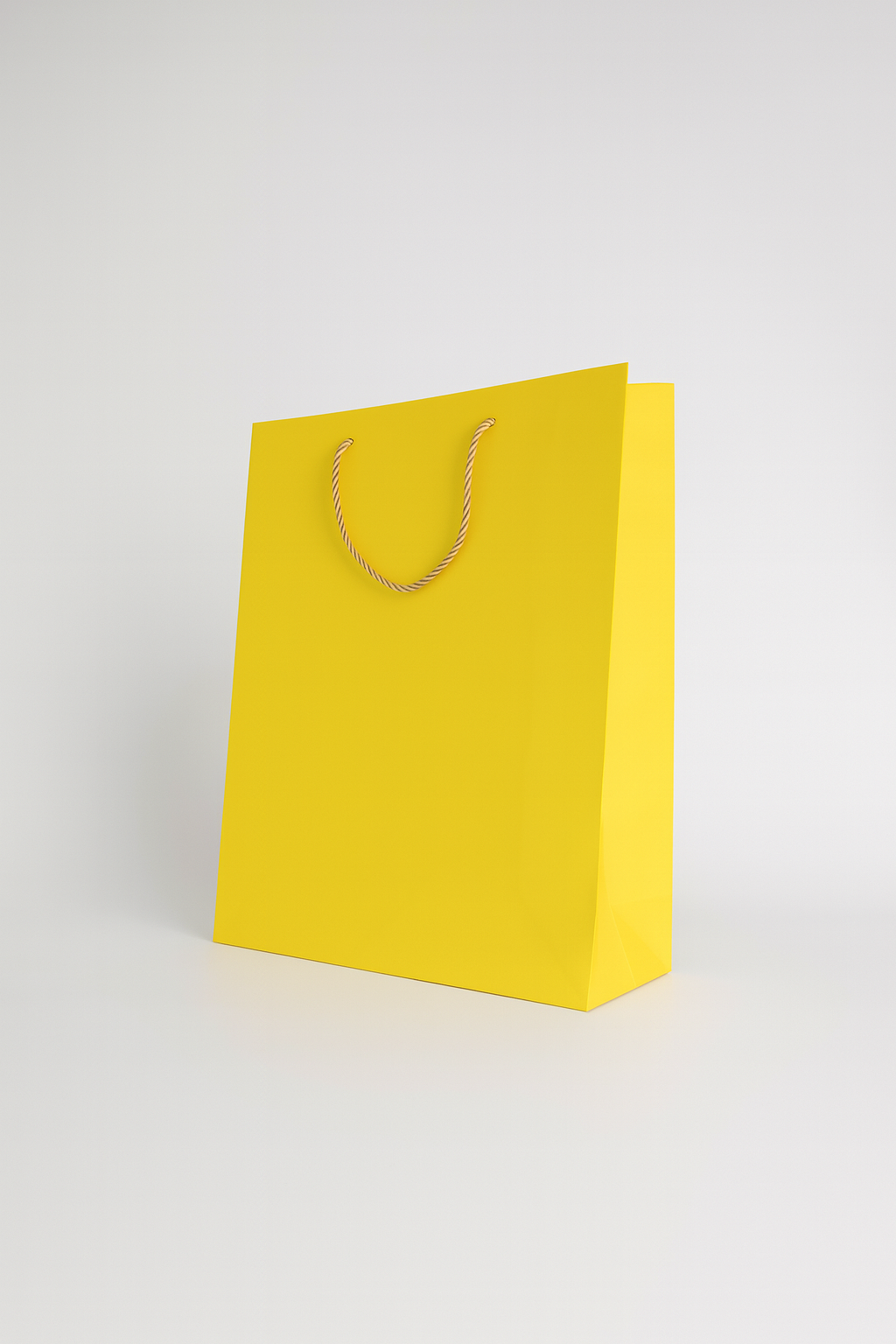 BOLSA DE REGALO UNICOLOR VERTICAL 26*32*10