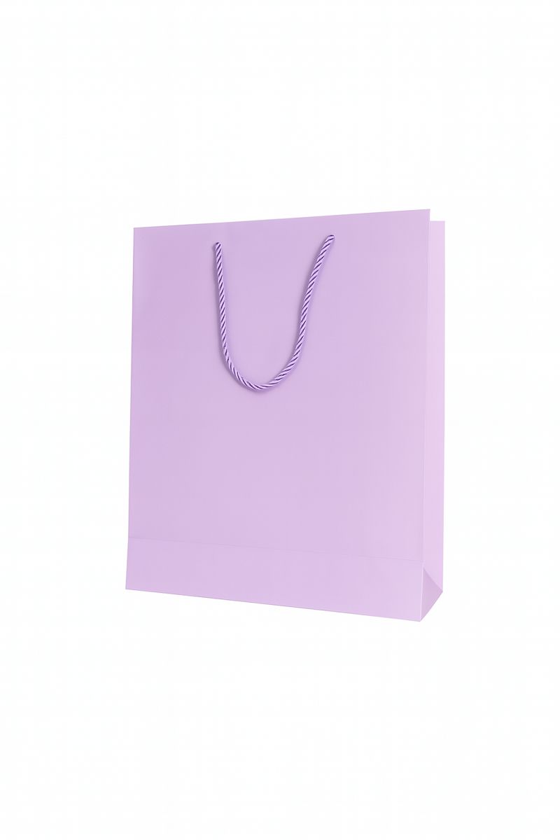 BOLSA DE REGALO UNICOLOR VERTICAL 26*32*10