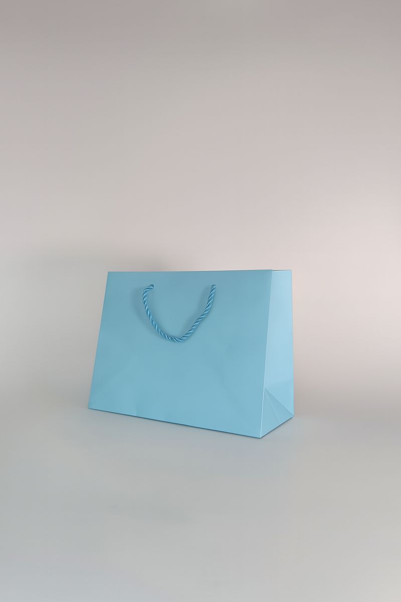 BOLSA DE REGALO UNICOLOR HORIZONTAL 17.7*23*10