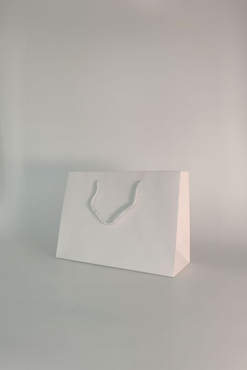 BOLSA DE REGALO UNICOLOR HORIZONTAL 17.7*23*10