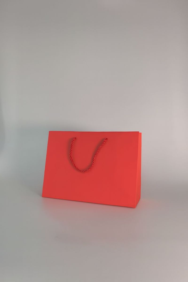 BOLSA DE REGALO UNICOLOR HORIZONTAL 17.7*23*10