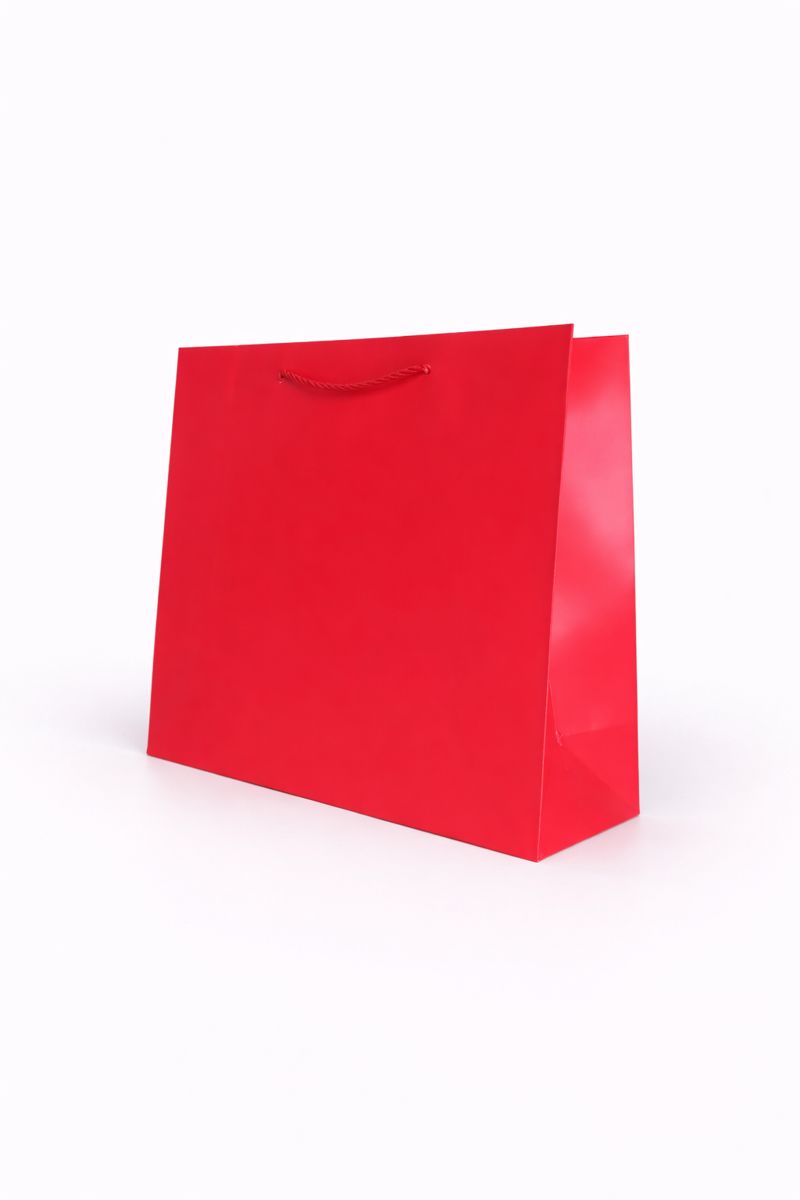 BOLSA DE REGALO UNICOLOR HORIZONTAL 26*32*1