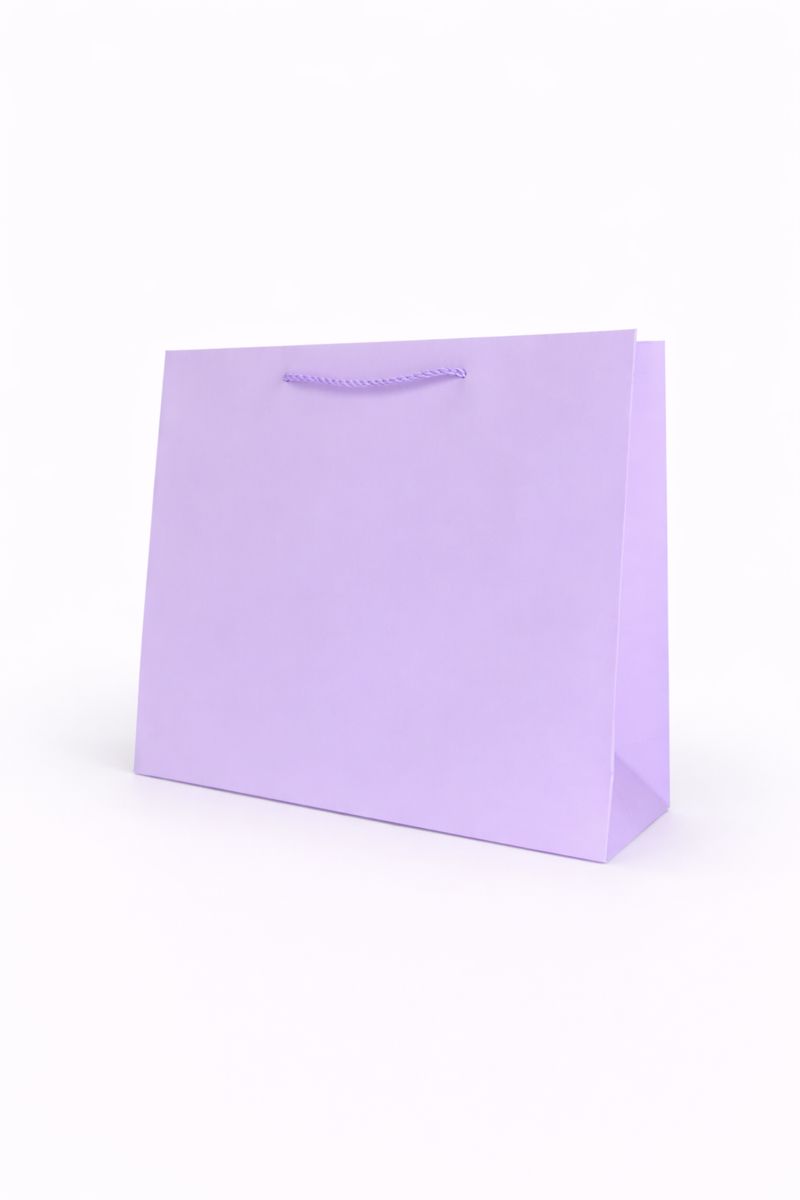 BOLSA DE REGALO UNICOLOR HORIZONTAL 26*32*1