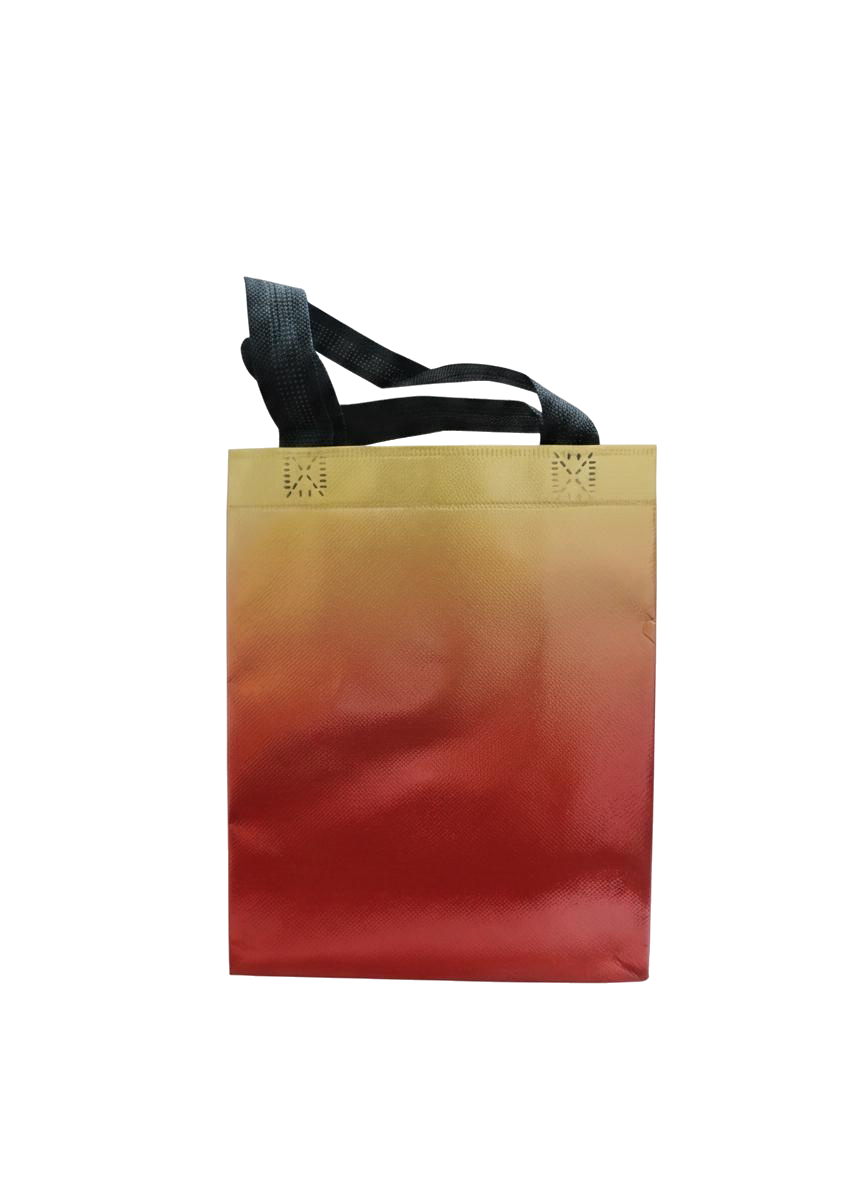 BOLSA DE REGALO METALIZADA 20*26*10CM