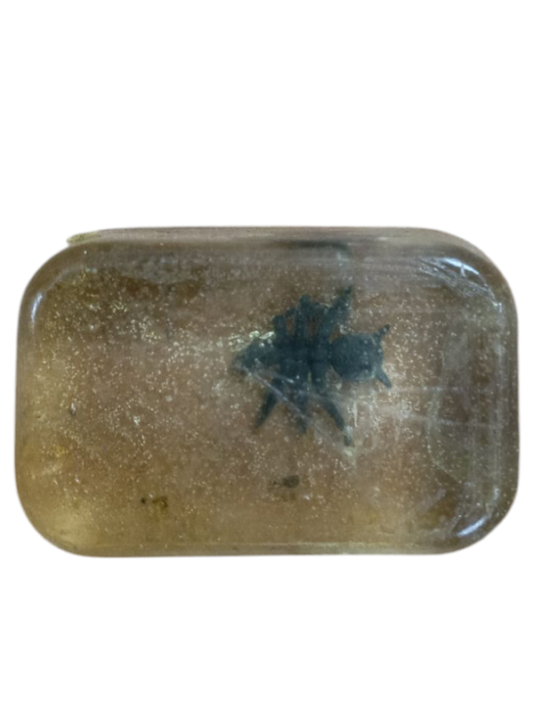 CUBO DE HIELO HORMIGA