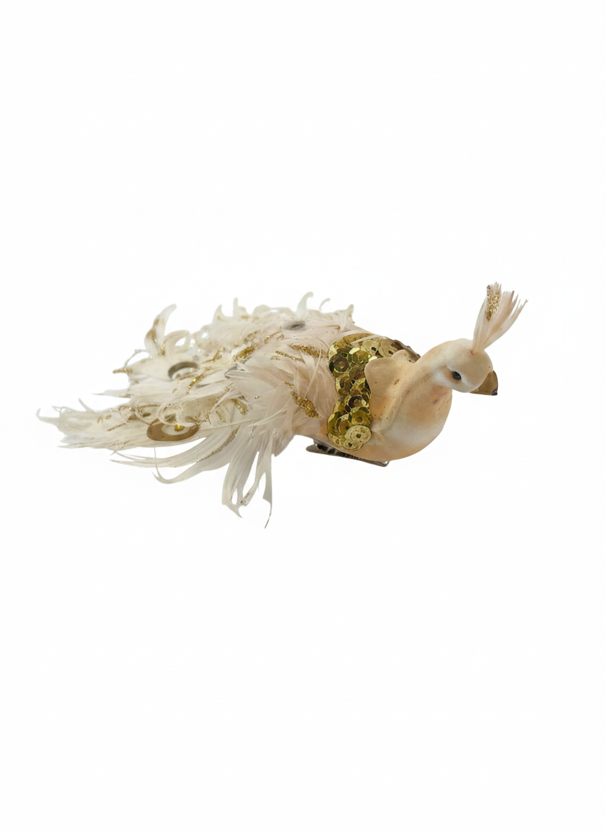 PAVO REAL COLA LARGA 2UNID