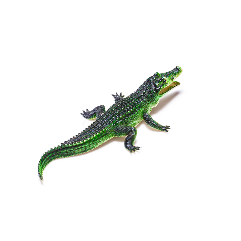 COCODRILO VERDE 2UNID